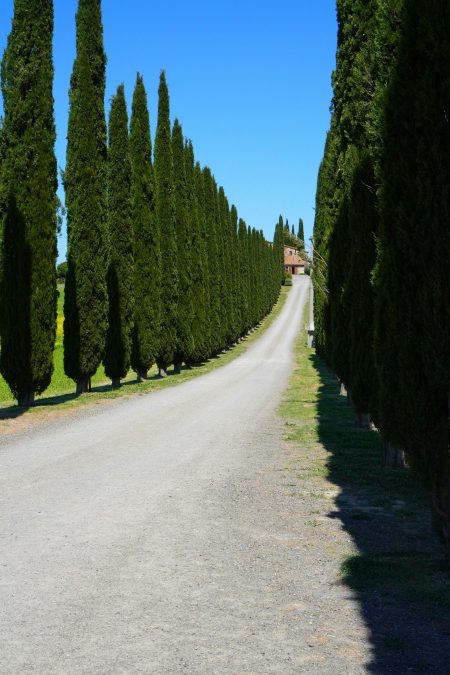 ITALY: Rome to Florence (GRAVEL)